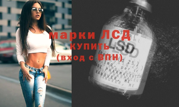мяу мяу мука Магас