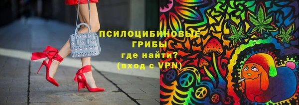 мяу мяу мука Магас